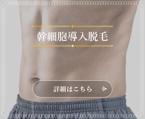 幹細胞導入脱毛  詳しくはこちら