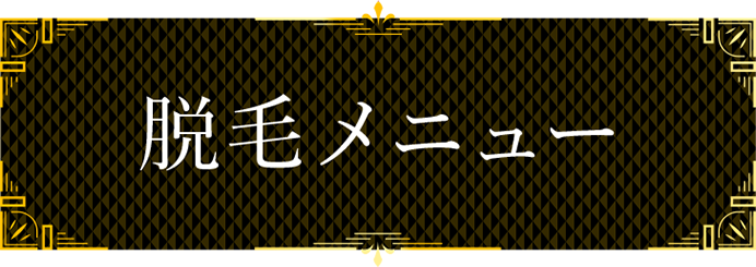 脱毛メニュー